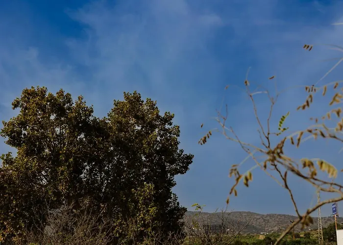 Alamos Dreams Апартаменты