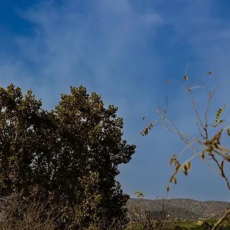 Alamos Dreams Appartamento